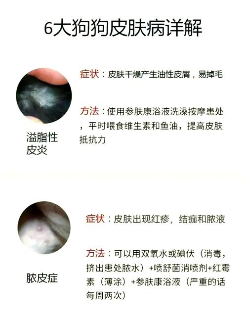 常见的狗狗皮肤病有哪些
