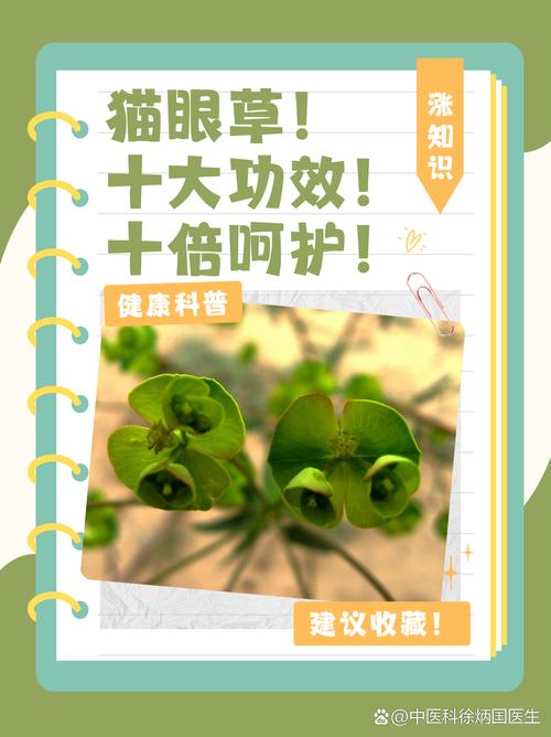 猫眼草的作用与用途