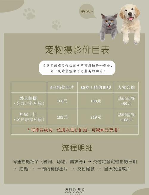 给猫拍片需要多少钱?
