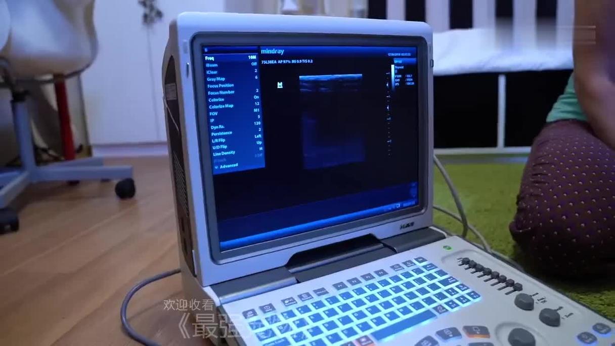 给猫咪拍片要多少钱左右?