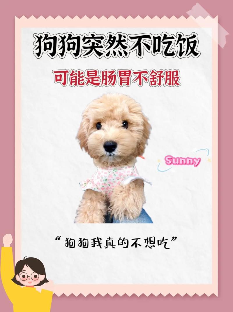 狗吃甜瓜会拉肚子吗