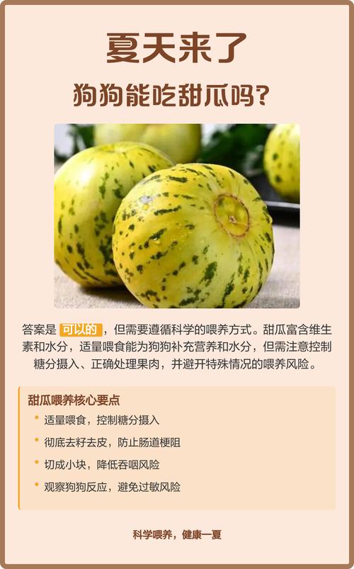 狗能吃甜瓜吗会死吗