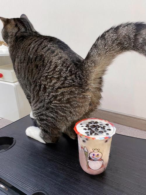 猫舔了优乐美奶茶有事吗?