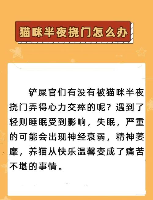 猫一到晚上就嗷嗷叫怎么办