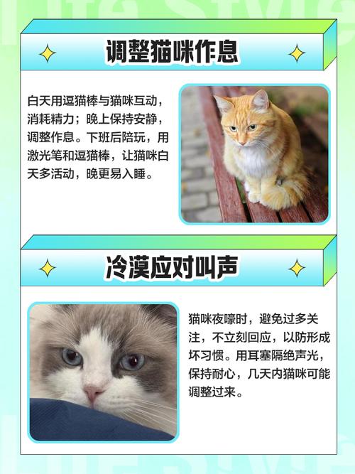 怎样阻止猫在晚上嚎叫