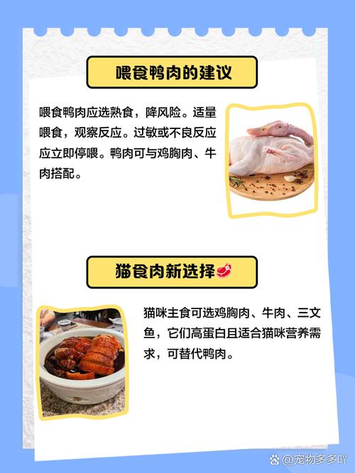 猫咪吃鸭肉不好吗为什么