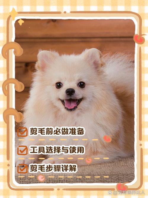 干货|自己在家怎么给狗狗剪毛