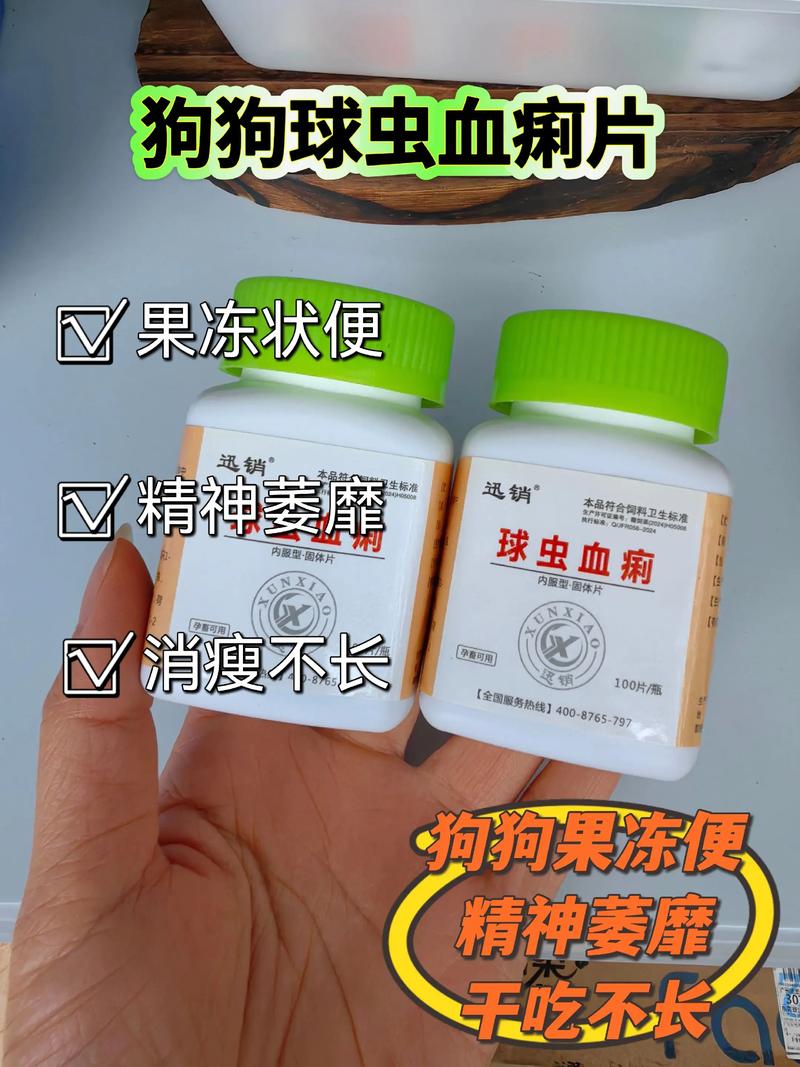 狗狗拉血便吃什么药