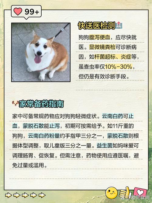 狗便血吃什么药