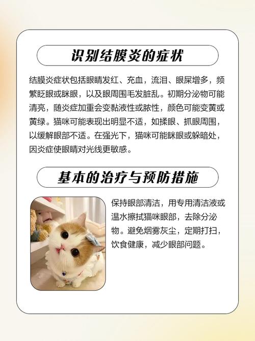 猫咪眼皮肿是怎么回事