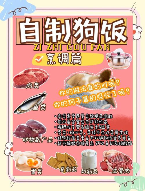 想尝试给泰迪自制狗饭,应该怎么做?