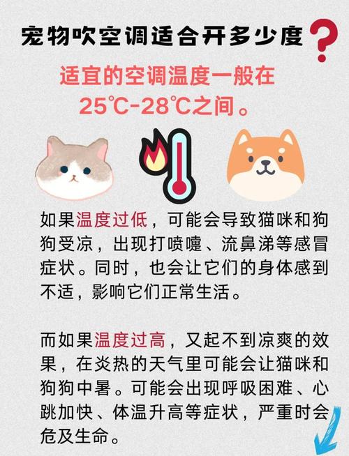 金毛狗狗夏天一定得睡空调?