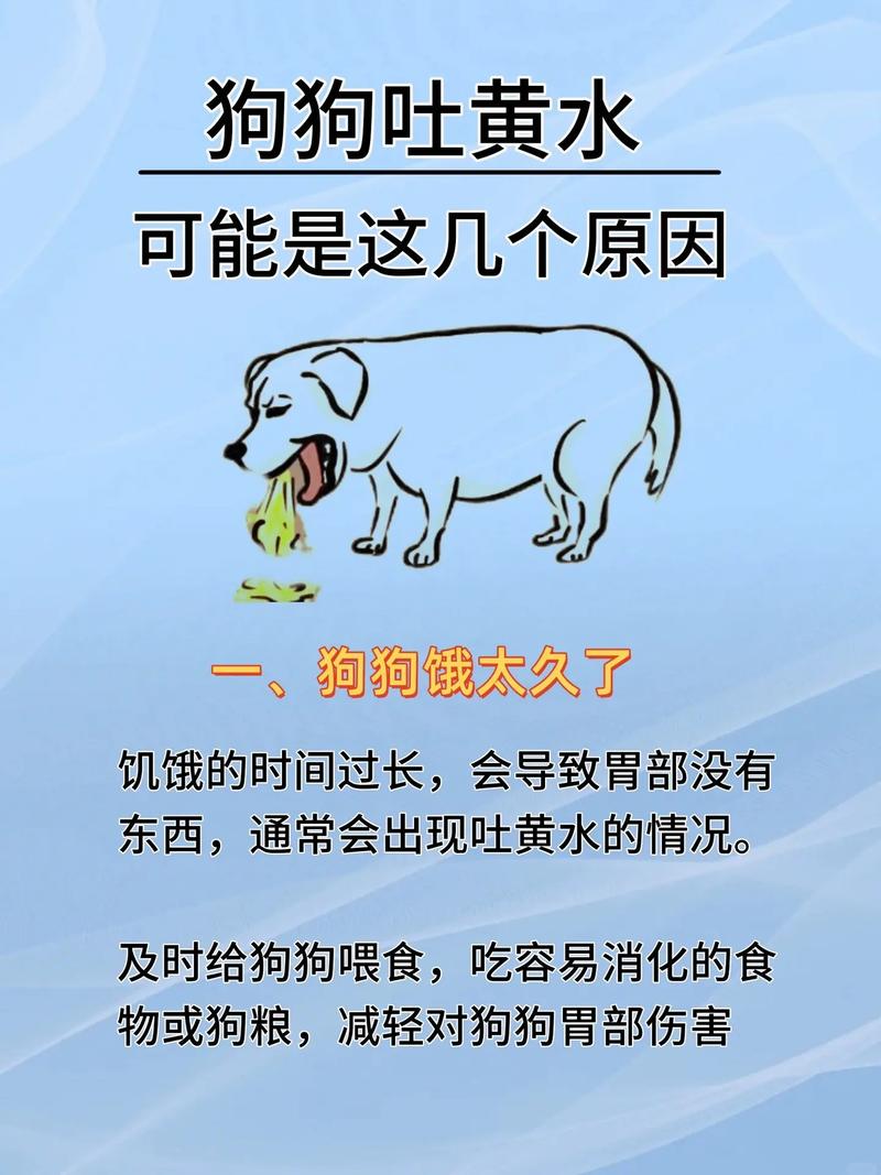 狗狗吐了后可以喝水吗