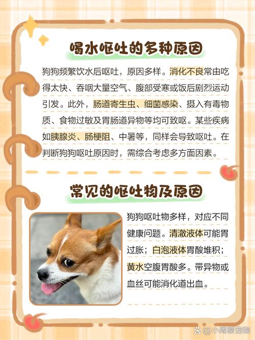 你好。狗狗现在老吐可不可以给它喂粥或喝水之类的呢。谢谢?