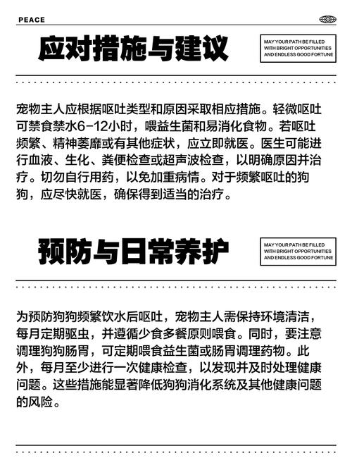 为什么狗狗呕吐不能喝水