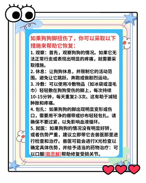 狗狗脚崴了怎么办