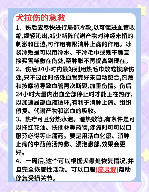 狗狗崴脚了一直不好,怎么办啊?