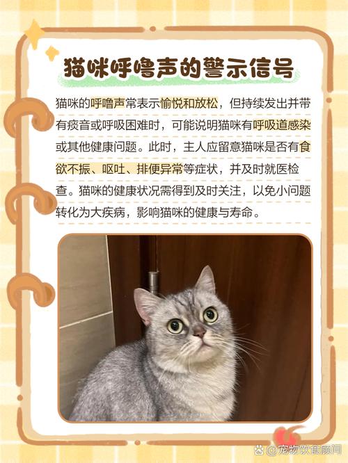 我摸猫猫的时候,他发出咕噜咕噜的声音是什么意思?