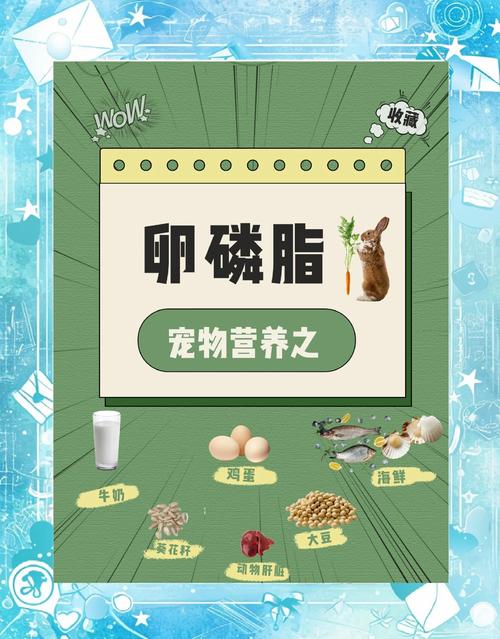 狗狗吃卵磷脂有用吗