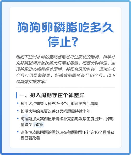 狗狗吃卵磷脂的好处有哪些?该怎么喂?