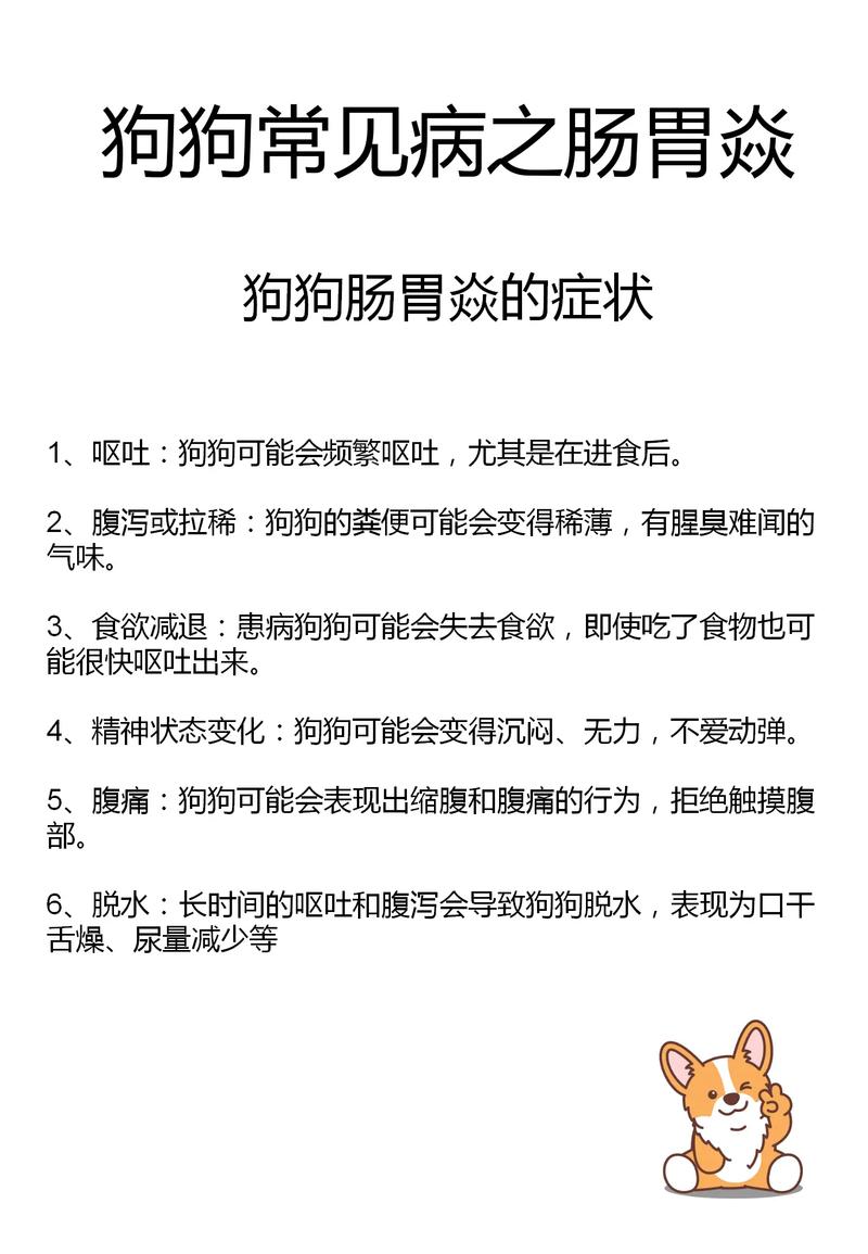 狗狗肠胃炎吃什么消炎药