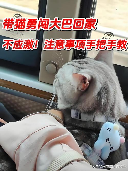 猫放在猫包里可以坐大巴吗