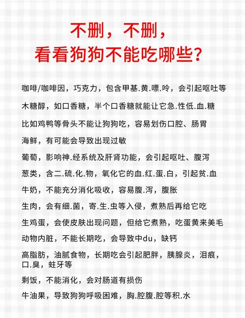 什么药能让狗吃上不叫?