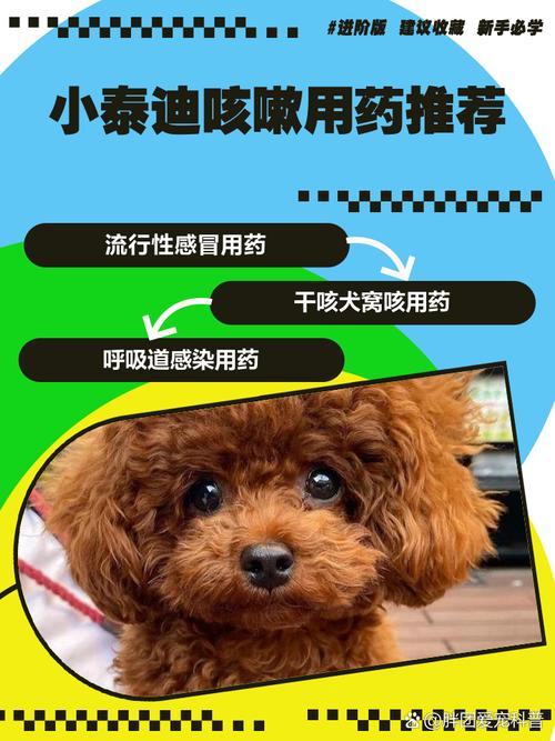 泰迪犬气管炎咳嗽怎么治疗