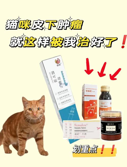 猫的乳腺肿瘤需要花多少钱?