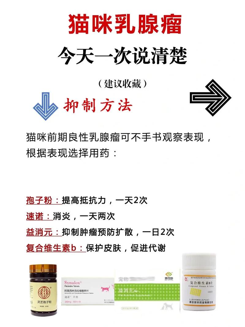 给猫咪切除脂肪瘤需要多少钱?