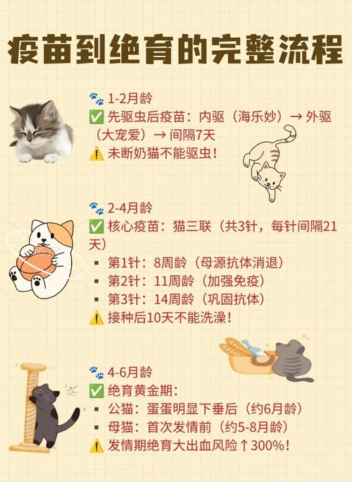 给猫咪没打疫苗能做绝育手术吗?