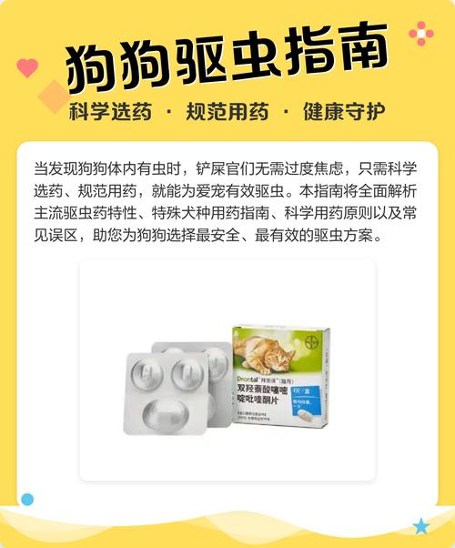 狗狗吃了驱虫药后多久能吃东西