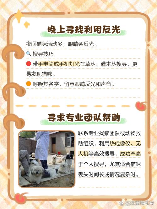 猫咪从家里跑出去了,怎么找回来?