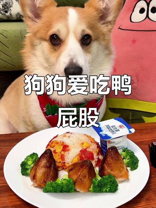 狗狗为什么不吃鸭屁股