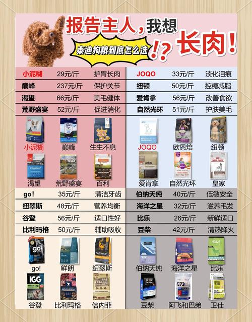 泰迪吃什么可以增肥最快