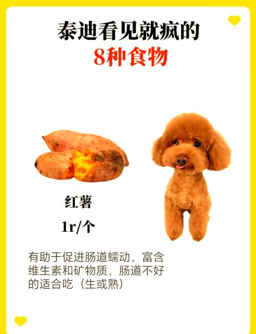 狗狗吃什么可以变胖