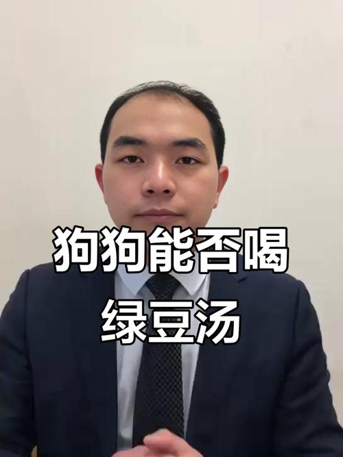 狗狗可不可以吃绿豆汤