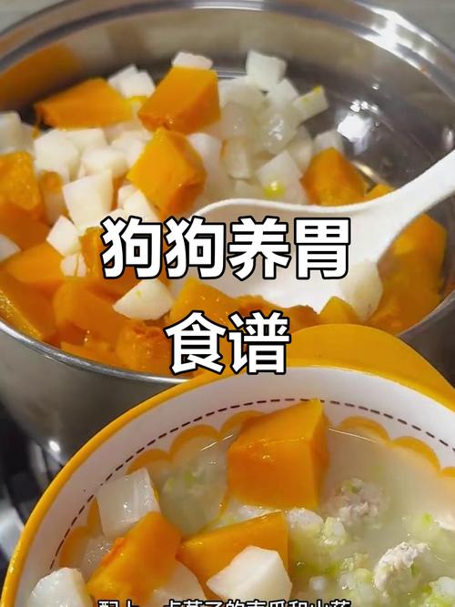 狗肠炎康复后吃什么食物