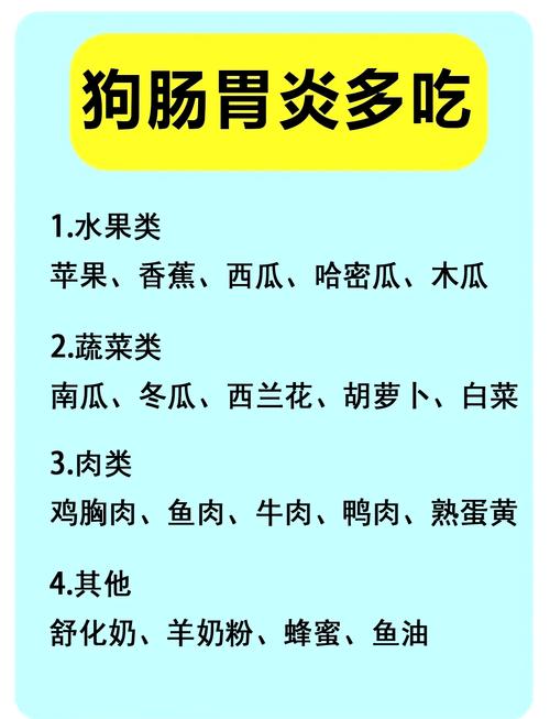 狗肠炎吃什么食物好