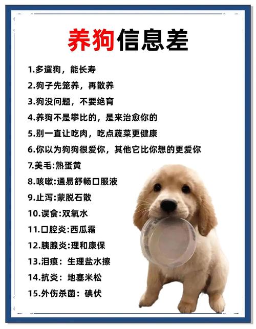 养狗狗有什么好处吗?