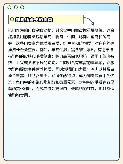 狗狗吃牛肉好还是羊肉好