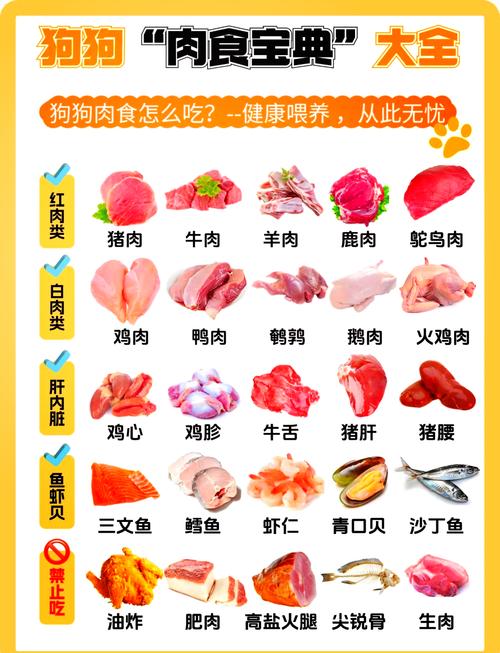 狗狗可以吃什么肉类?