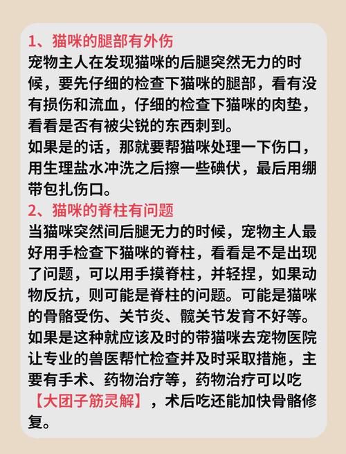 猫咪为什么会被摔出屎