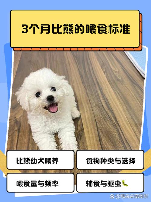 三个月泰迪狗一天喂一顿(三个月的泰迪狗一天吃几顿)