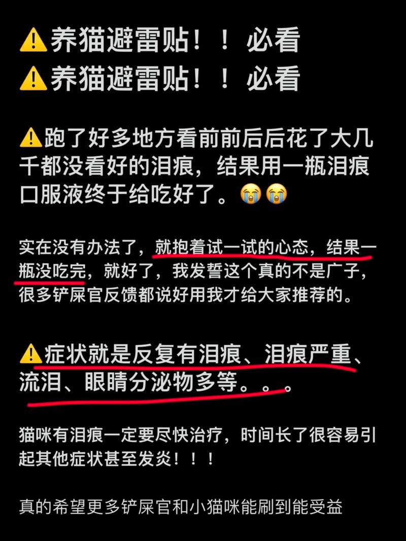 猫咪有泪痕和眼屎是怎么回事