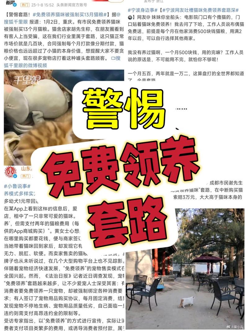 免费领养猫咪是什么套路