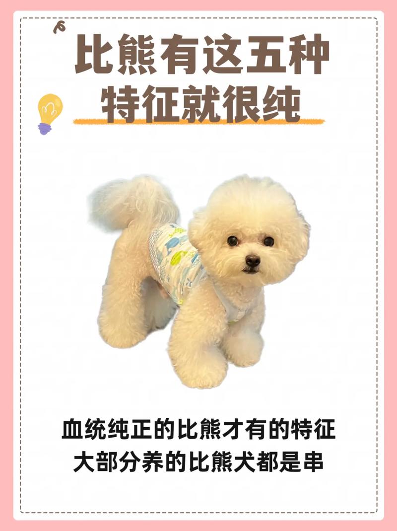 狗能不能喝人的牛奶?