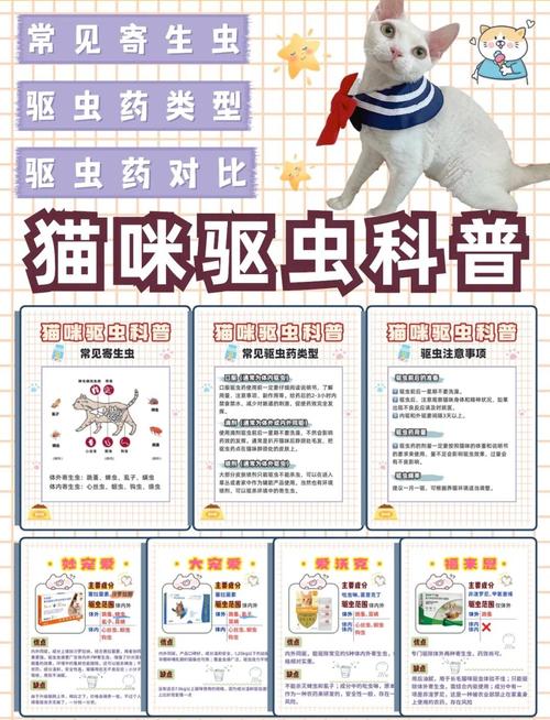 怎么喂猫咪驱虫药