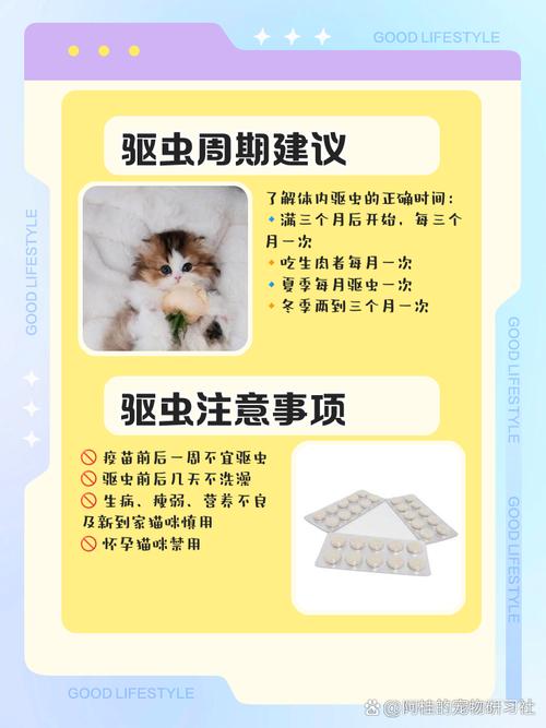 猫咪体内驱虫药怎么喂?