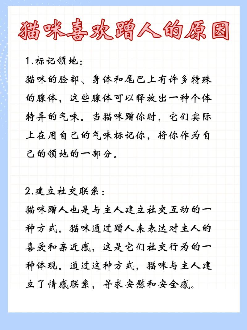猫总往你身上蹭,而且特别黏人,还发出咕噜咕噜的声音,怎么回事